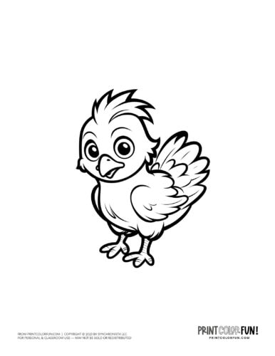 45+ chicken clipart & coloring pages: Creative activities ...