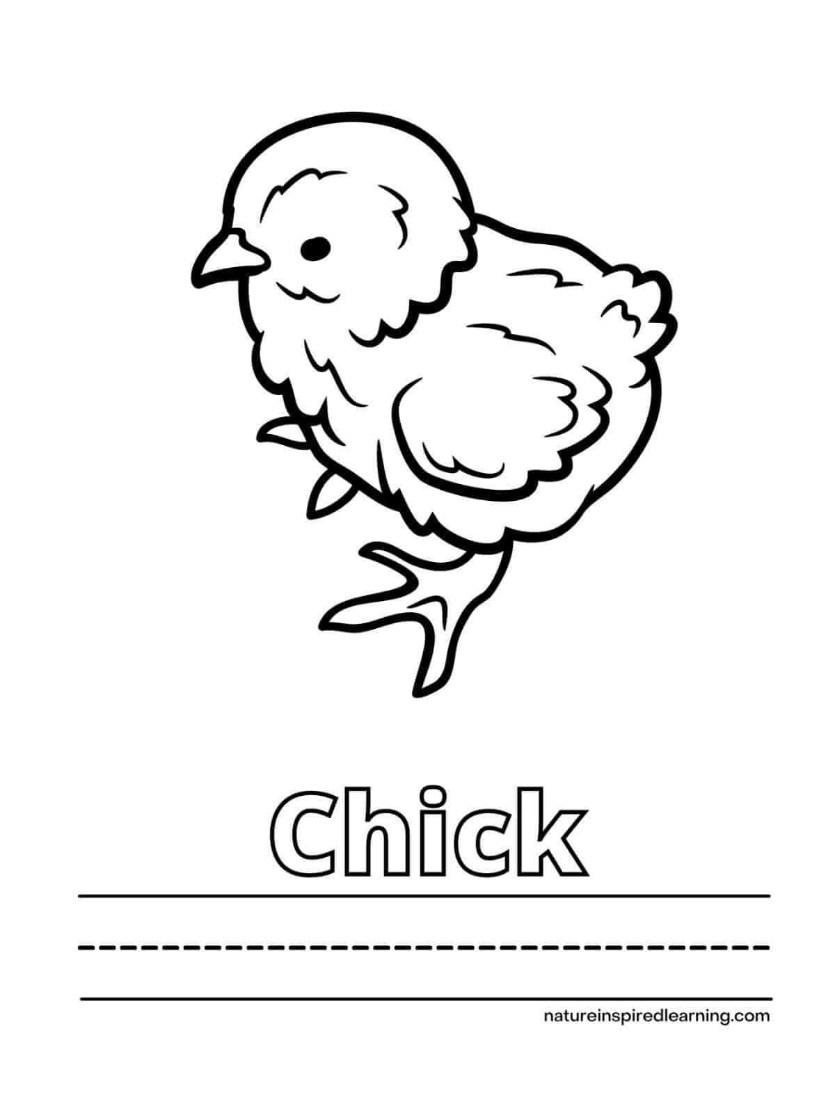 Adorable Chicken Coloring Pages - Nature Inspired Learning