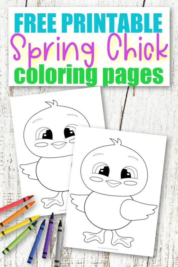 Free Printable Baby Chick Coloring Page – Simple Mom Project