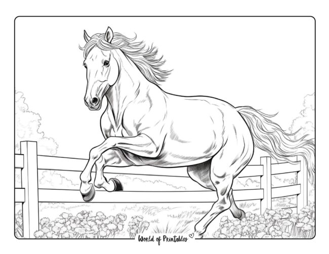 Horse Coloring Pages For Kids & Adults - World of Printables