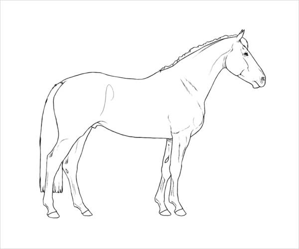 FREE 12+ Horse Coloring Pages in AI