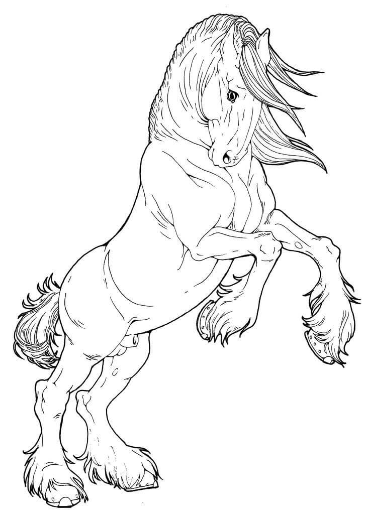 Horse Coloring Pages – Printable Coloring Pages. FREE