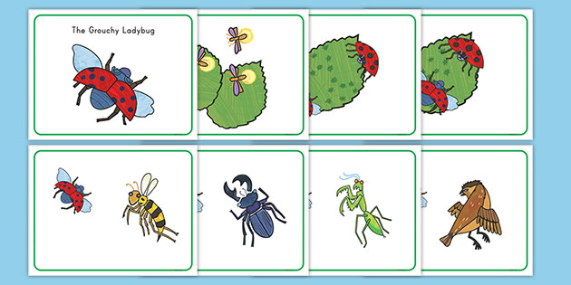 The Grouchy Ladybug Story Cards (teacher made) - Twinkl
