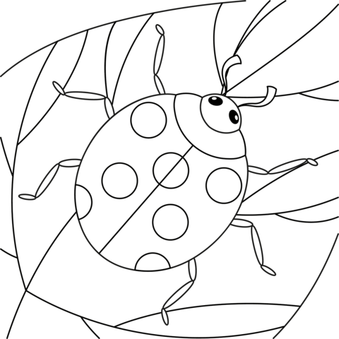 Ladybug coloring page | Free Printable Coloring Pages