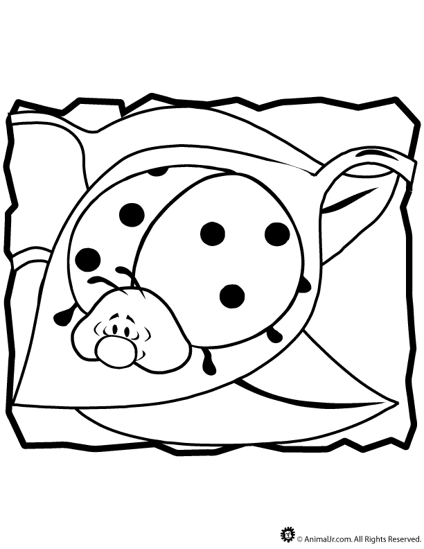 ▷ Ladybug: Coloring Pages & Books - 100% FREE and printable!