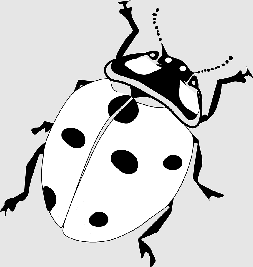 Grouchy Ladybug, printable, ladybug, coloring Pages, beetle ...