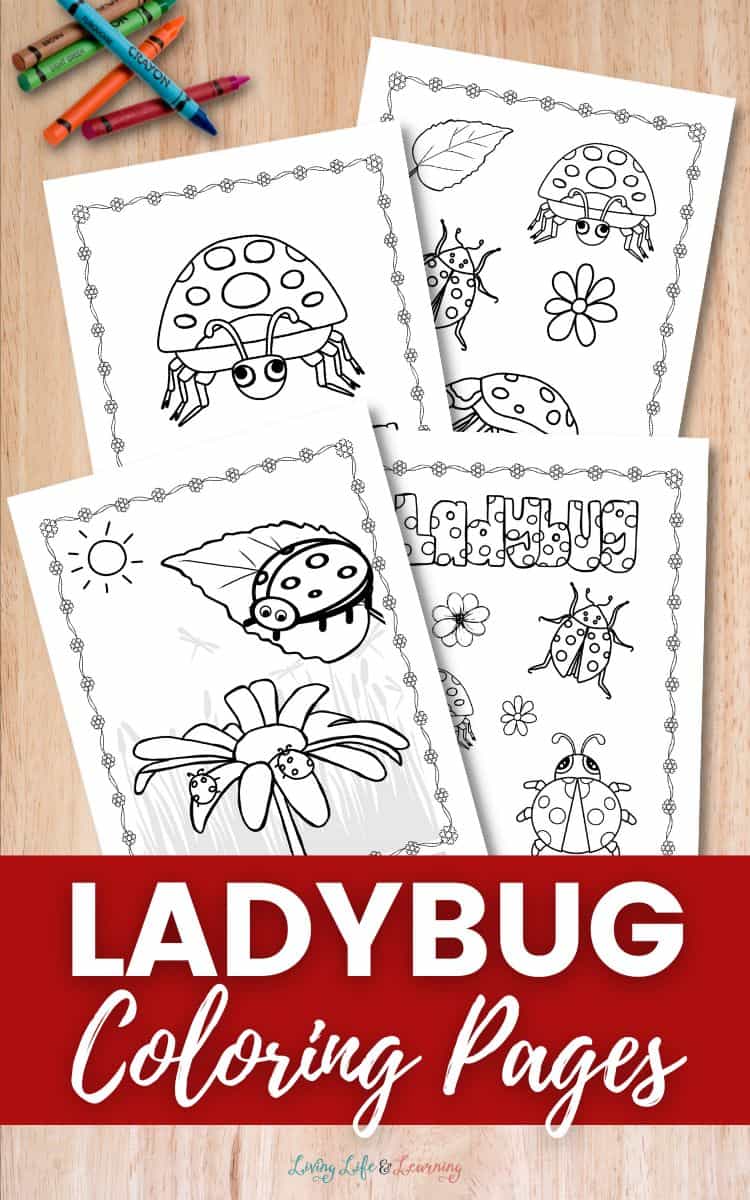 Ladybug Coloring Pages