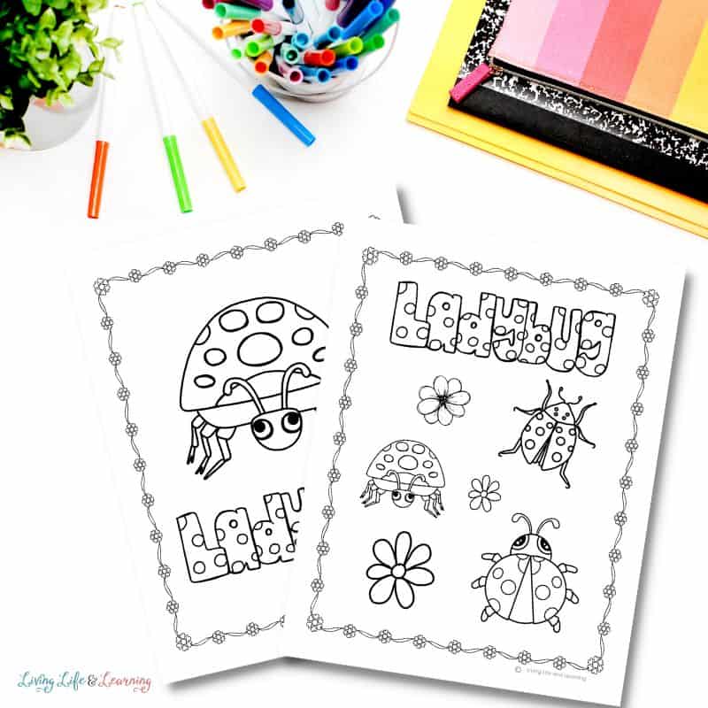 Ladybug Coloring Pages