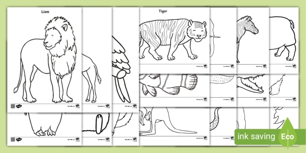 Zoo Animals Colouring Pages | Primary Education Resources