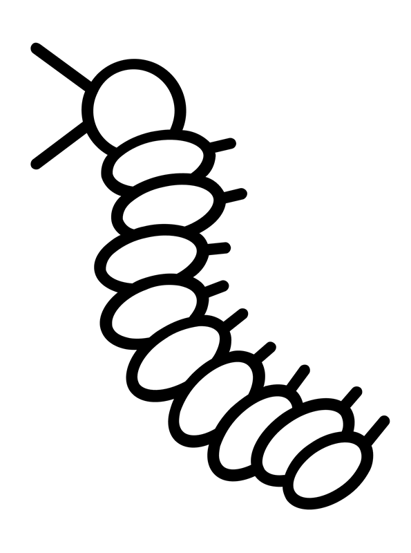Kids-n-fun.com | Coloring page Insects simple caterpillar