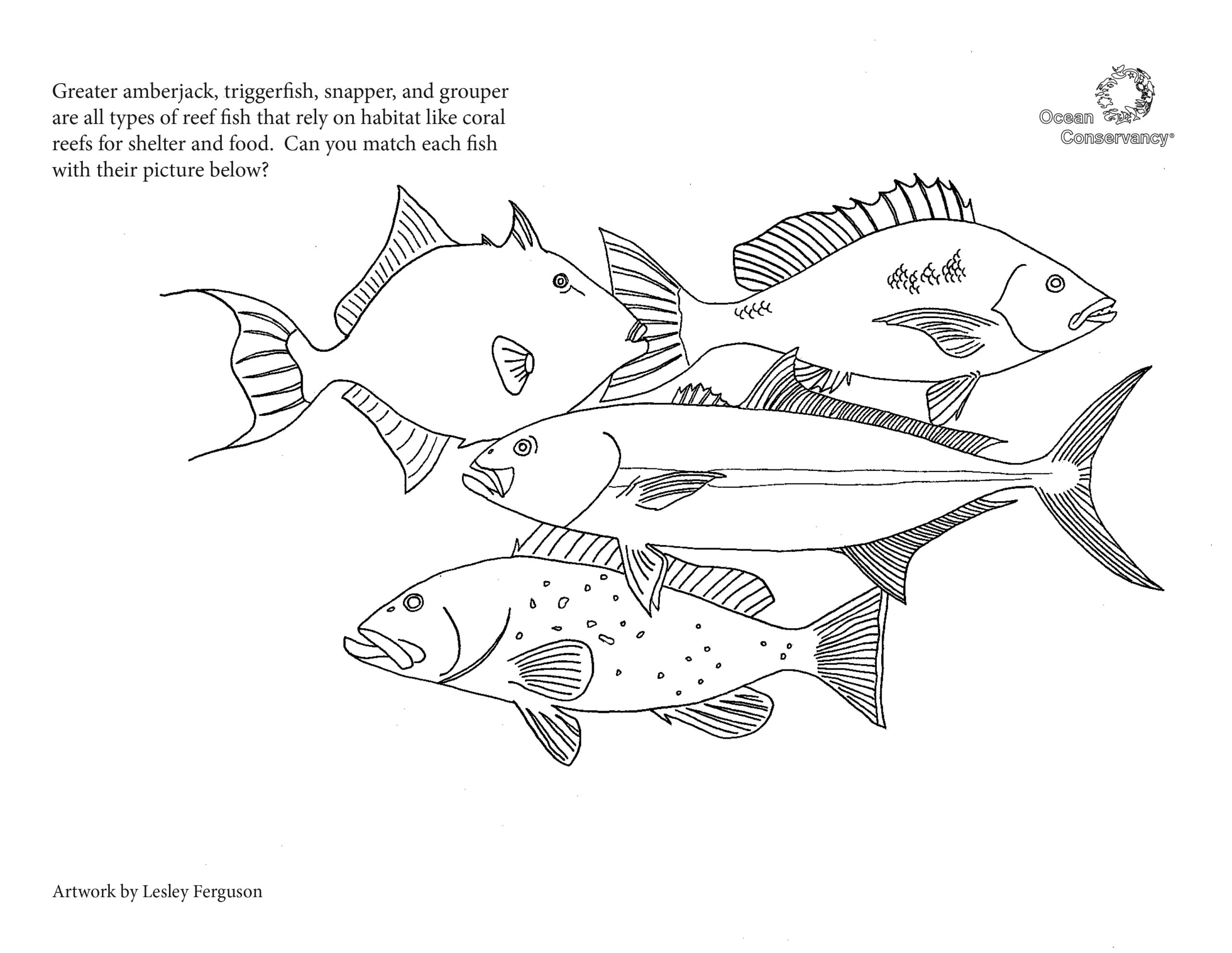 Fish Coloring Pages - Ocean Conservancy