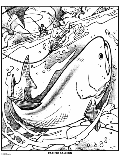 Salmon Fish | crayola.com
