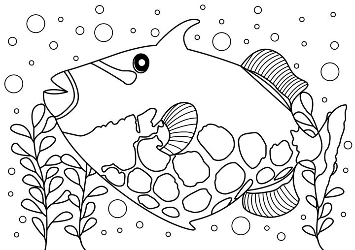 Trigger Fish Coloring Page - Clyde C - Drawings & Illustration ...