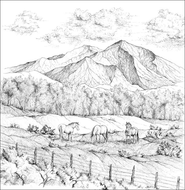Rocky Mountain coloring book includes Sopris | PostIndependent.com