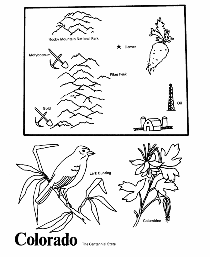 USA-Printables: State outline shape and demographic map - State of ...