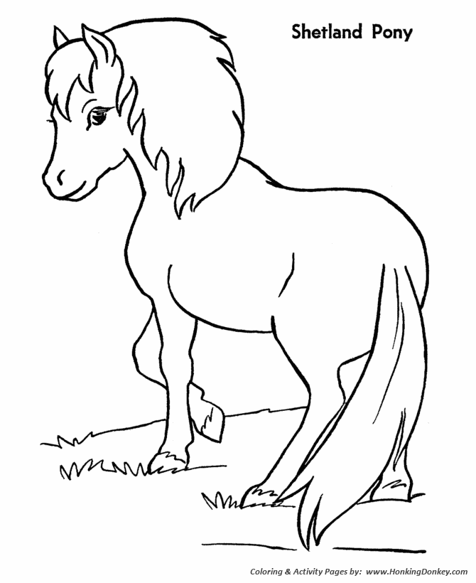 Horse Coloring Pages | Printable Shetland Pony Coloring Page ...