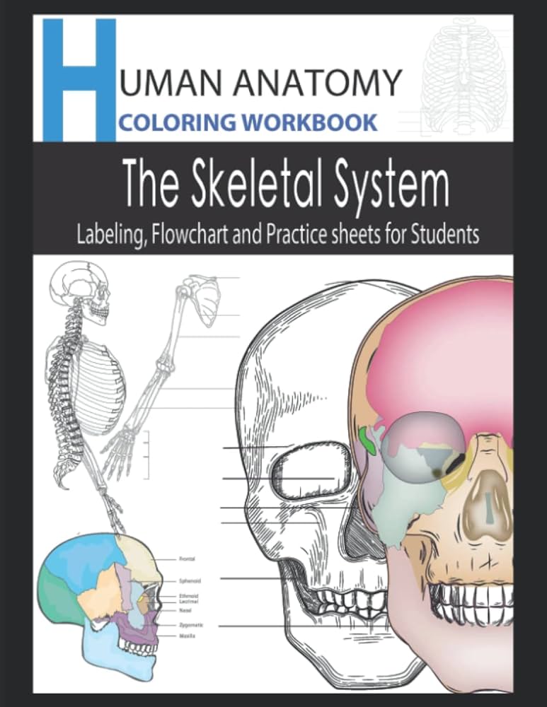 Human Anatomy, A Skeletal System Coloring Workbook for Anatomy and ...