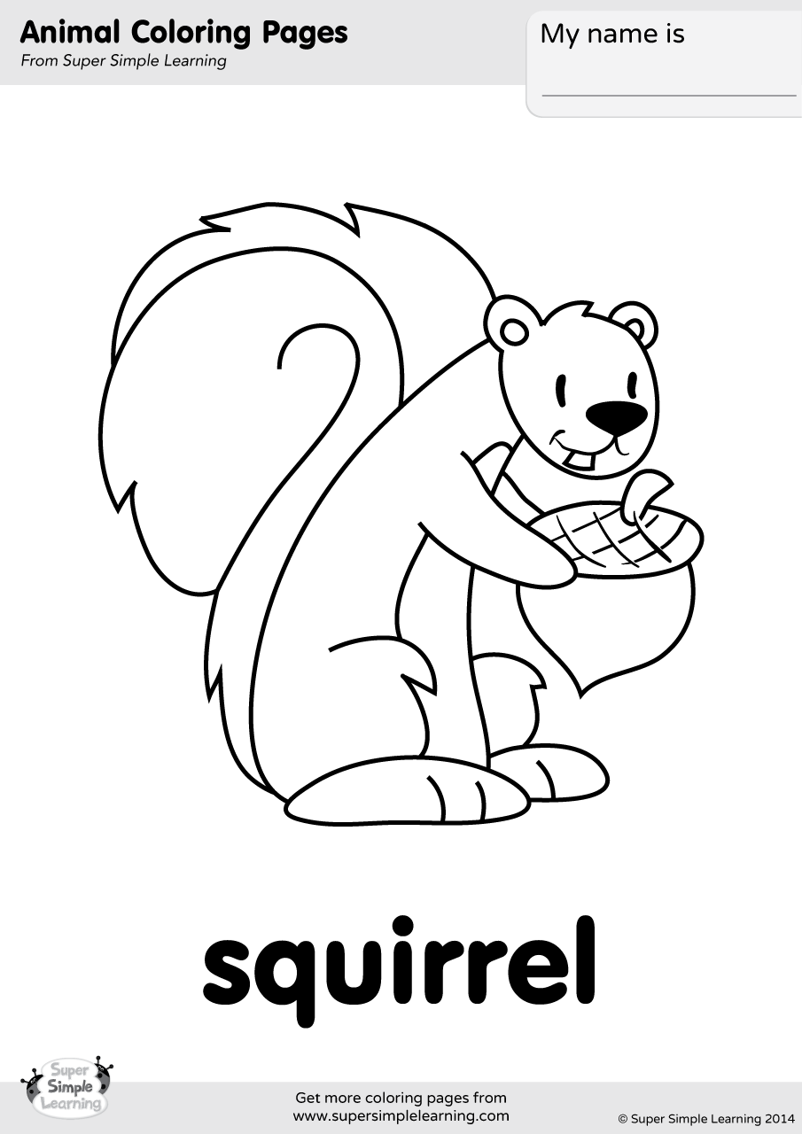 Squirrel Coloring Page - Super Simple