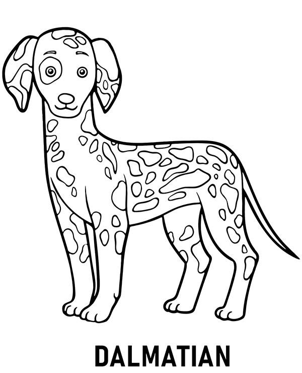 Baby Dalmatian Coloring Page - ColoringAll