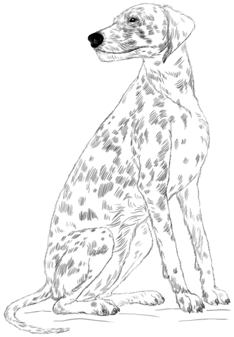 101 Dalmations Coloring Pages - Best Coloring Pages For Kids