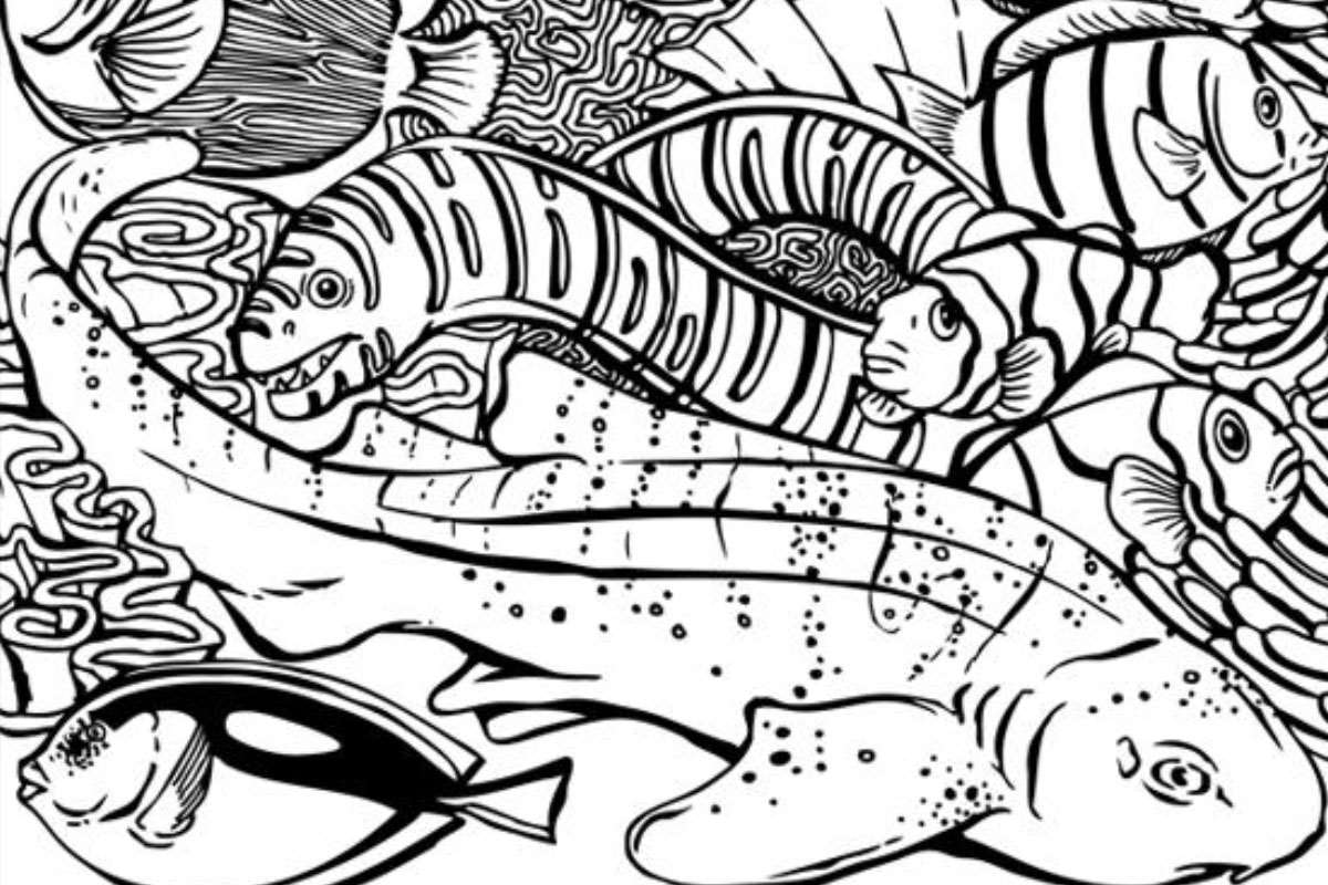 Coloring pages | Activities | Monterey Bay Aquarium