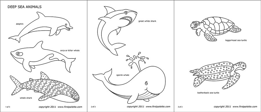 Sea Animals | Free Printable Templates & Coloring Pages ...